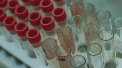 a group of beakers with red and white liquid in them