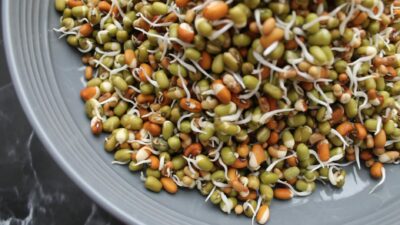 Vibrant close-up of mixed bean sprouts filling a modern bowl.