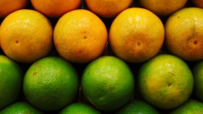 Rows of oranges and limes stacked together.
