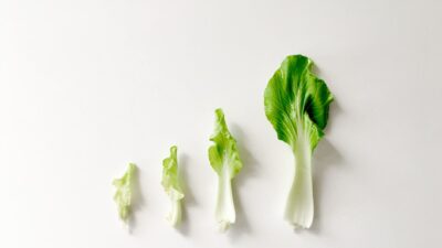 green vegetable on white surface