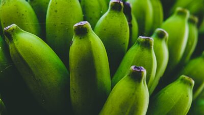 shallow focus photo of green bananas