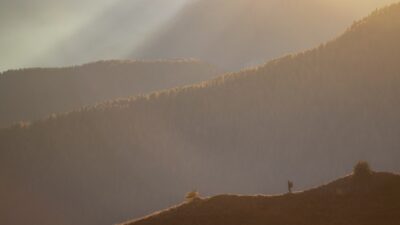 person standing on mountain view
