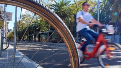 Person riding a bicycle on a sunny day