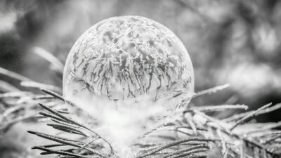 Monochrome image of a frozen soap bubble resting on frosty fir needles, showcasing intricate ice patterns.