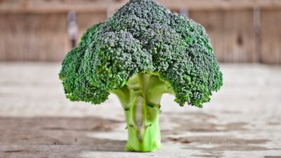 A close up of a piece of broccoli