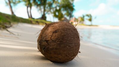 brown round ball on white sand during daytime