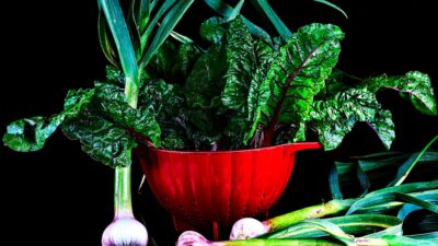 green leaves on red ceramic bowl