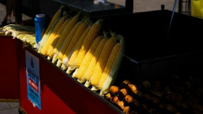 Bright yellow corn cobs on display at an outdoor market stall, evoking summer vibes.