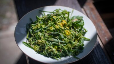 green vegetable on white ceramic plate