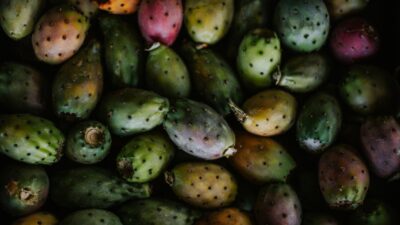 a group of green and yellow fruit