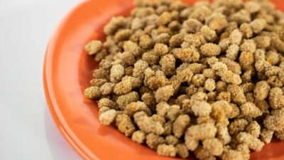 A detailed close-up of dried mulberries arranged on an orange plate, showcasing their texture.