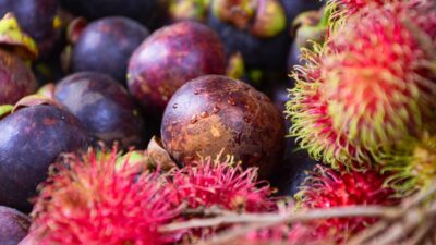 a bunch of fruit that is sitting on the ground