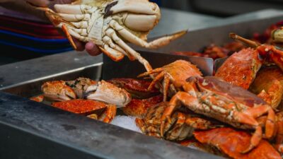 A variety of fresh crabs displayed on ice at a seafood market, ready for sale.