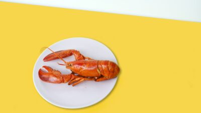 cooked lobster on ceramic plate