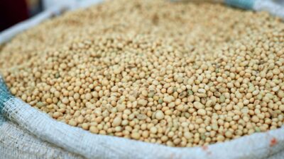 Bulk soybeans in a bag for sale at an outdoor market, emphasizing agricultural produce.